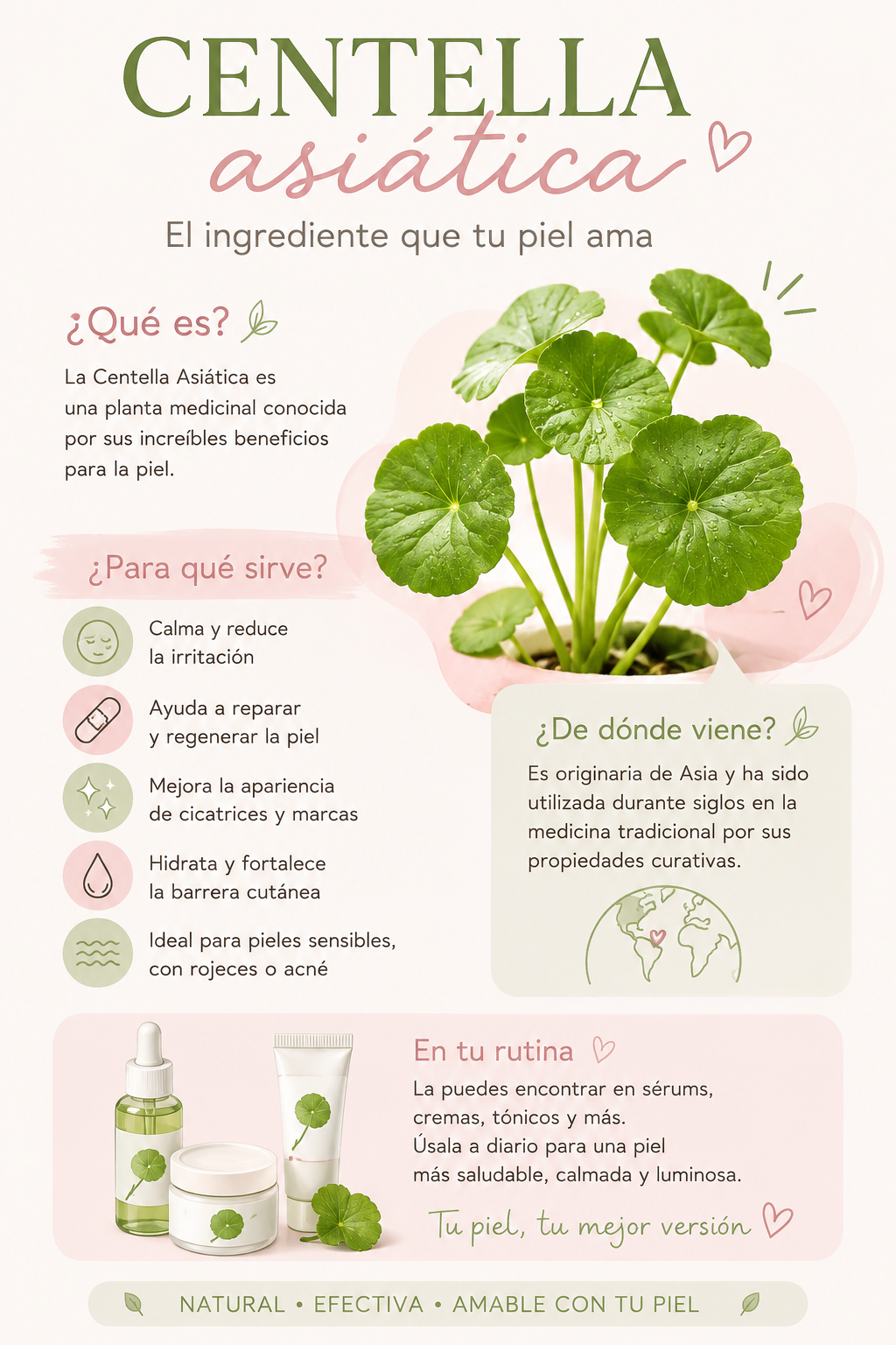 SERUM CENTELLA ASIÁTICA